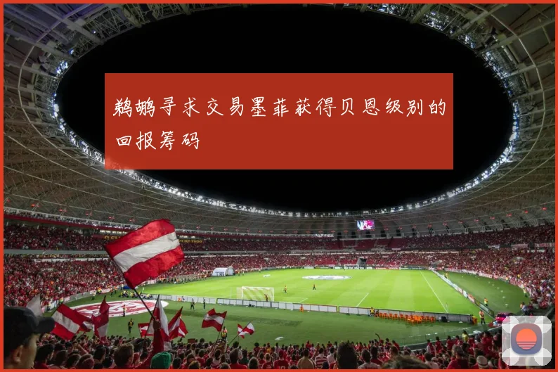 鹈鹕寻求交易墨菲获得贝恩级别的回报筹码