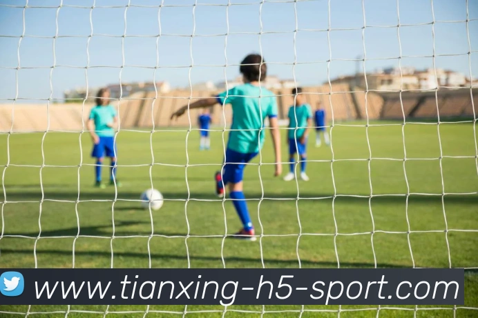 App Interface Preview